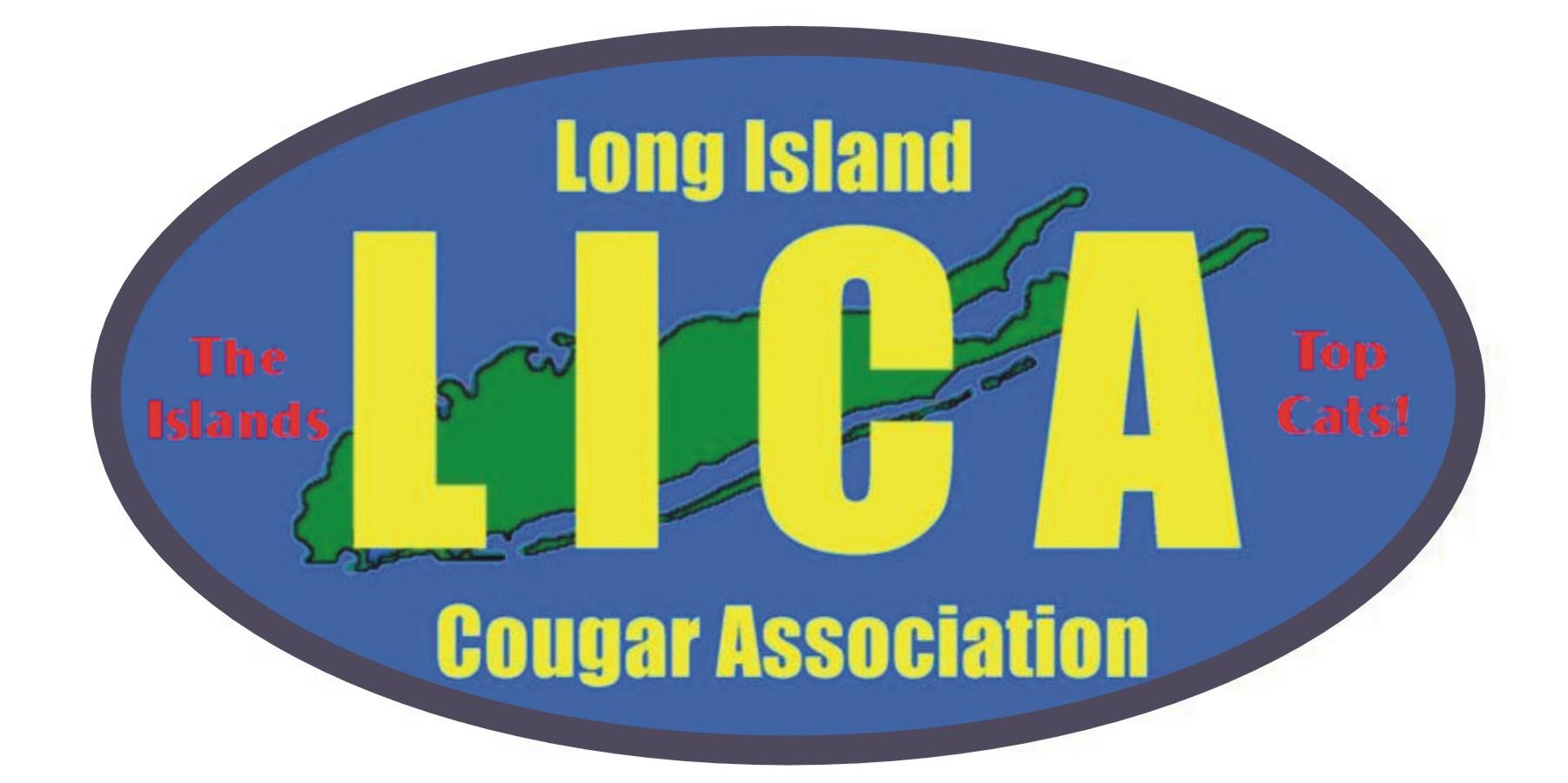 Lica Logo New.jpg (34365 bytes)